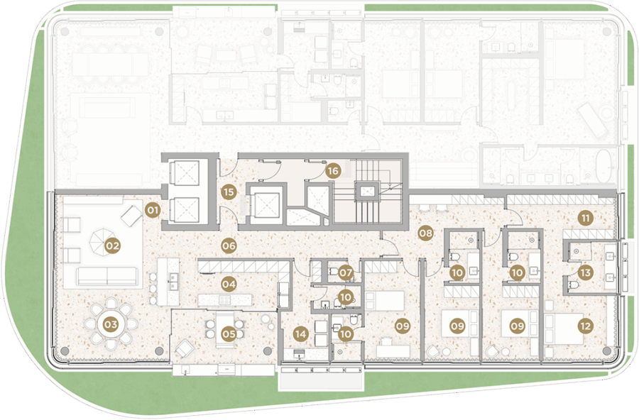 imagem da planta amanhecer