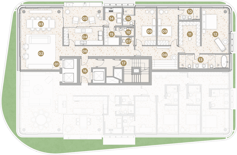 imagem planta entardecer